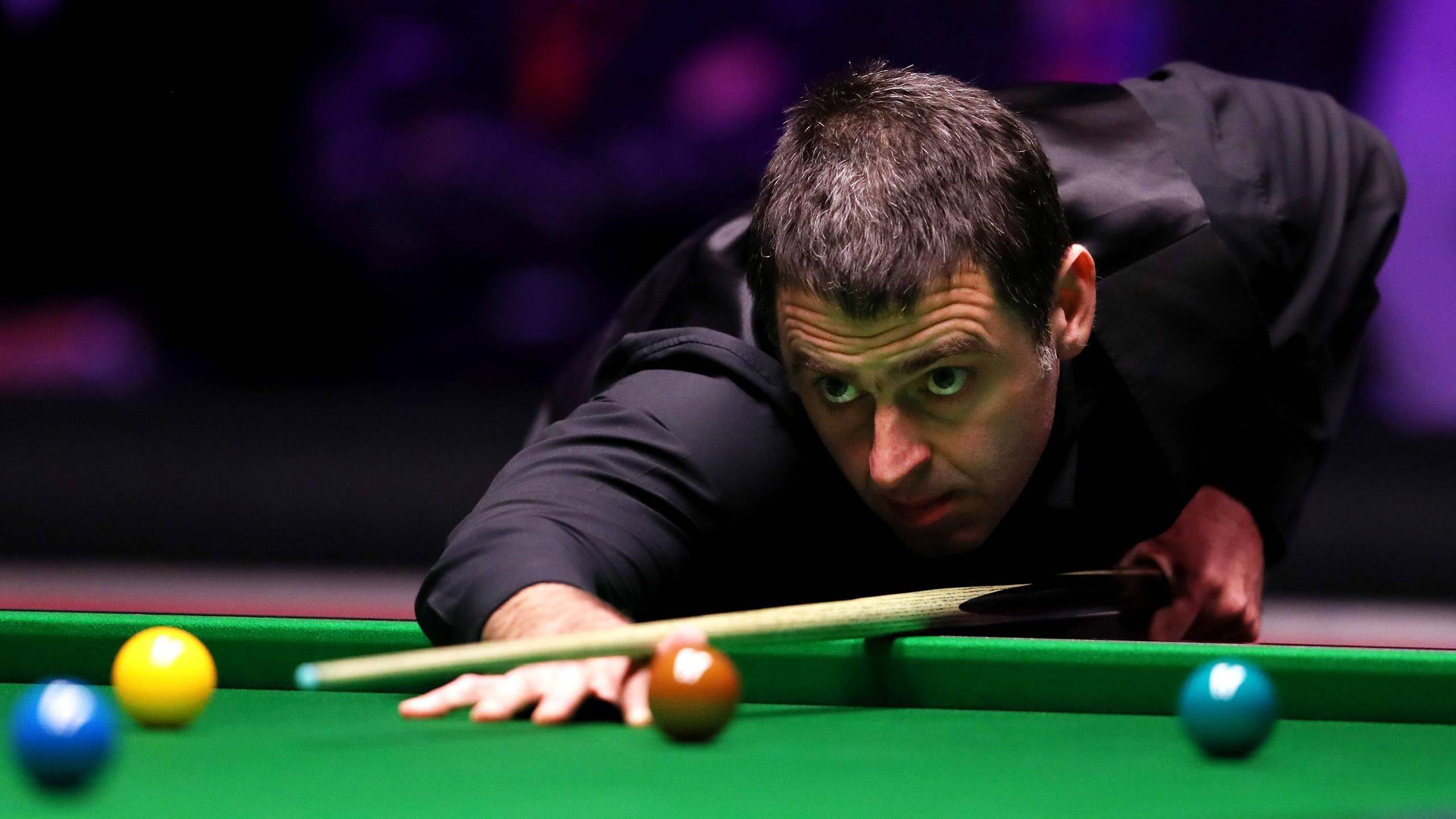 上会更强 上会更强