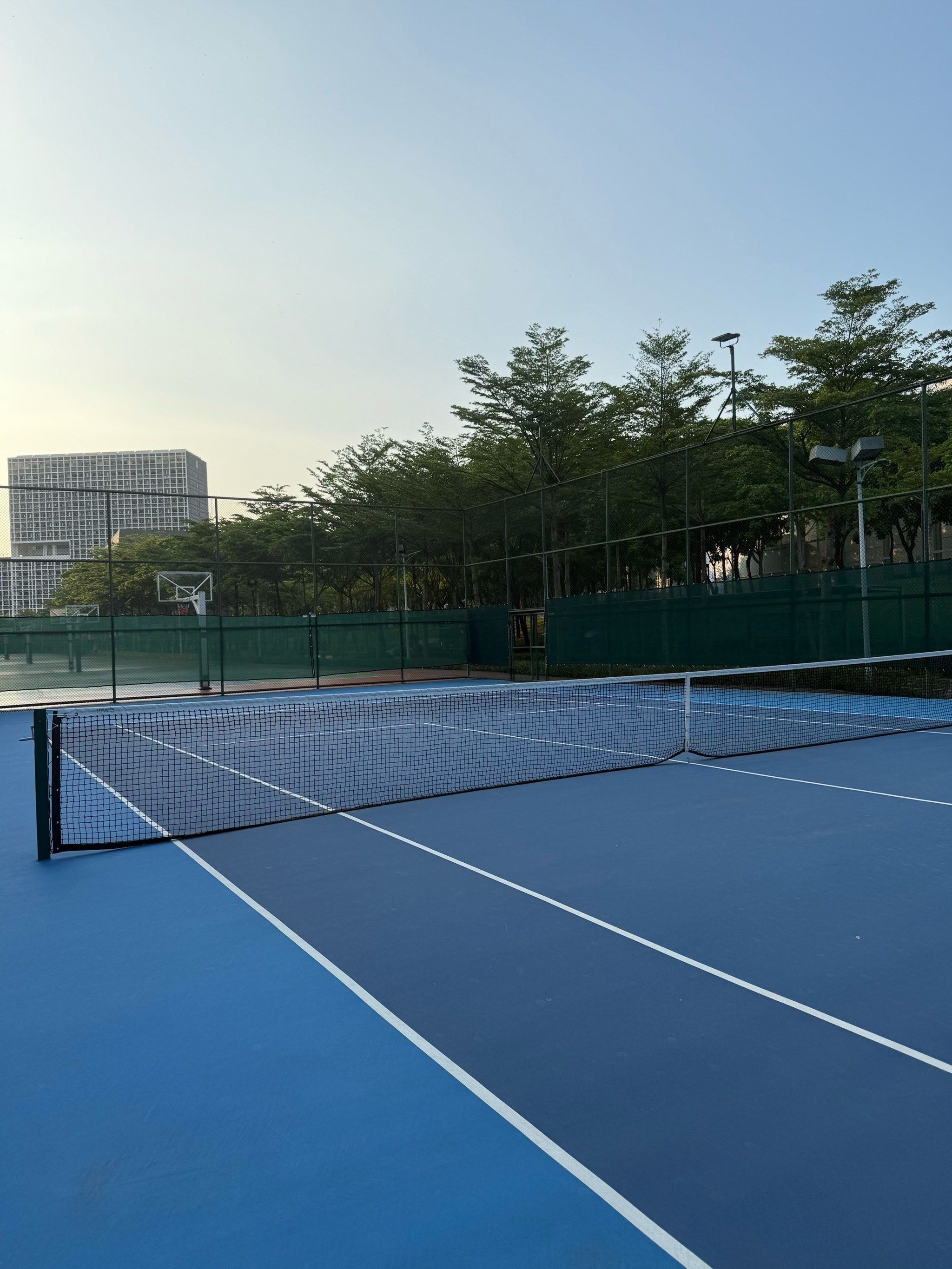 安塞尔米诺 安塞尔米诺