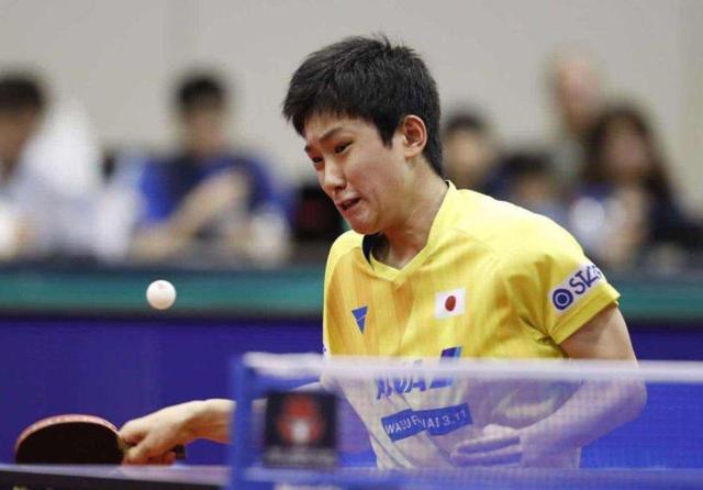 奏与决策上 奏与决策上