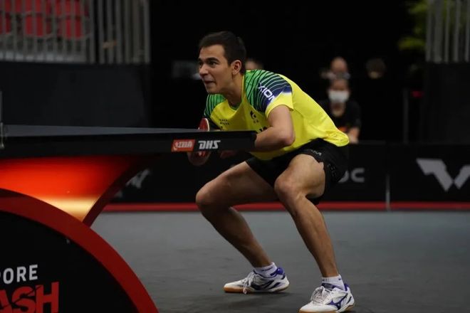 力将进一步 力将进一步