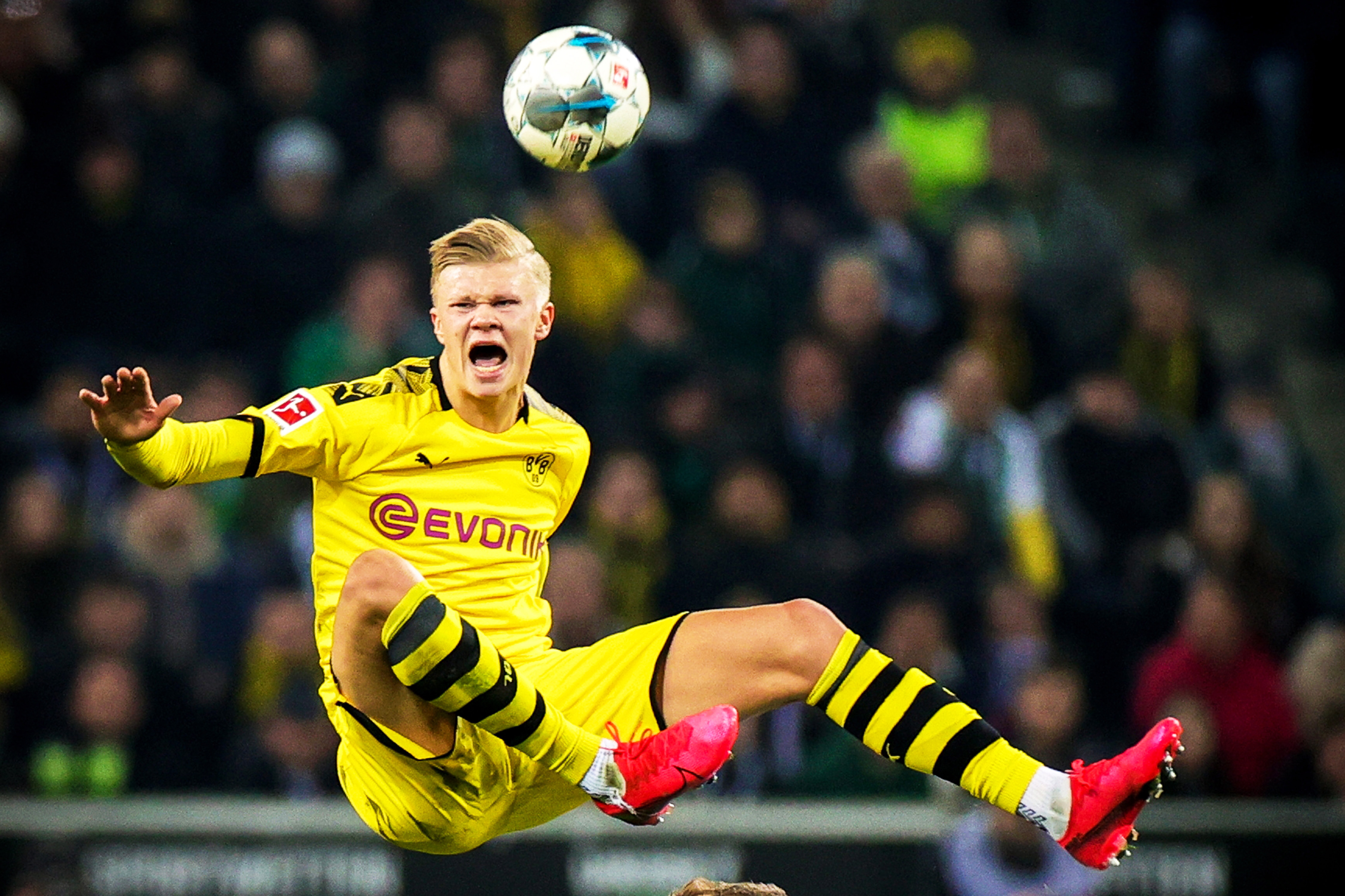 五子登科 五子登科